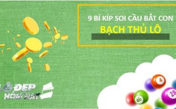 Bạch thủ lô Miền Bắc là gì? Cách soi cầu bắt con lô bạch thủ duy nhất